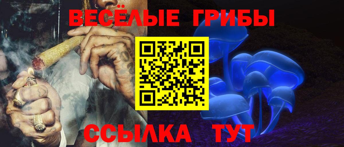 Псилоцибиновые грибы ЛСД  Псилоцибиновые грибы Magic Shrooms  Назрань  Вход с VPN 