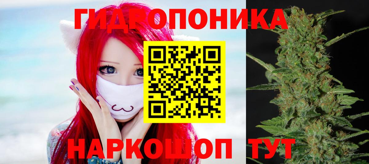 Назрань  Бошки марихуана Amnesia  Вход с VPN  Канабис семена  Бошки Шишки индика 